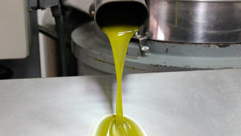 Salida del aceite de oliva virgen extra